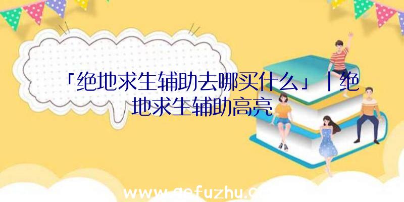 「绝地求生辅助去哪买什么」|绝地求生辅助高亮